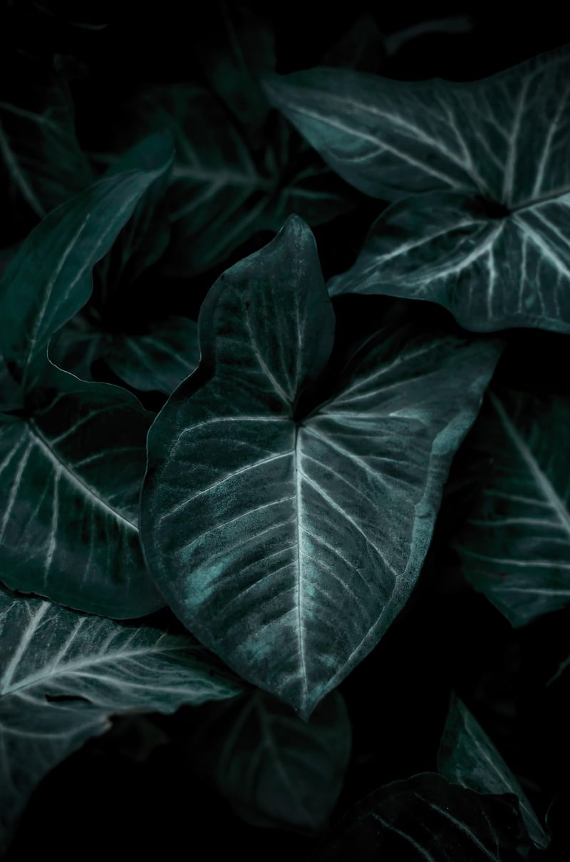 Leaf Print Art